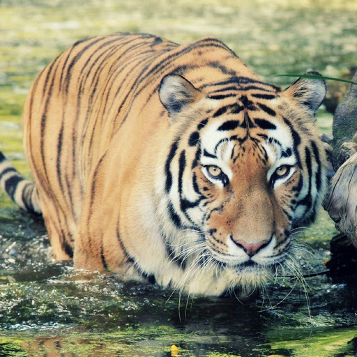 Hd-180459-ascw180459