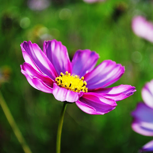 Hd-152061-ascw152061