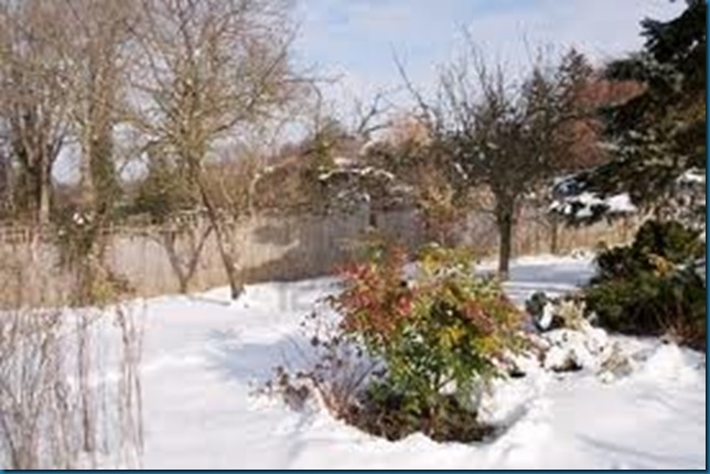 bright sunny snowy garden 123fr