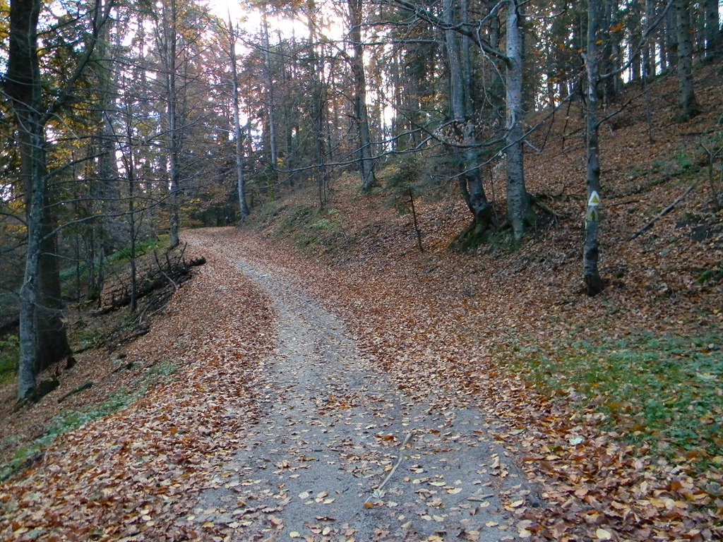 [DSCN94203.jpg]
