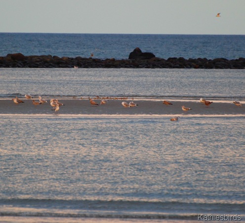 25. sandbar-kab 25. sandbar-kab