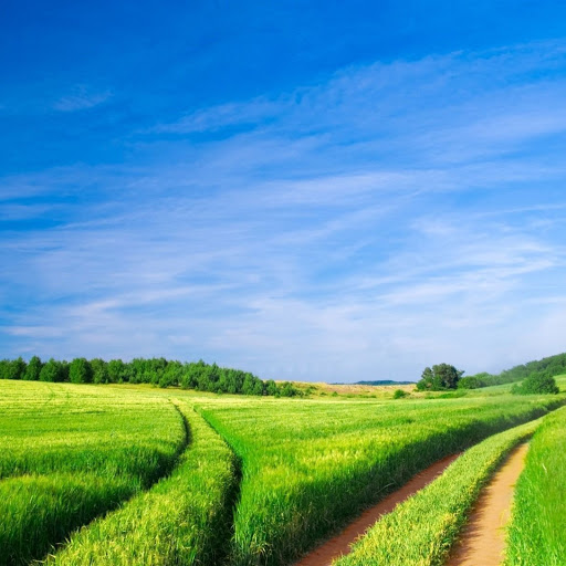 Hd-148920-ascw148920