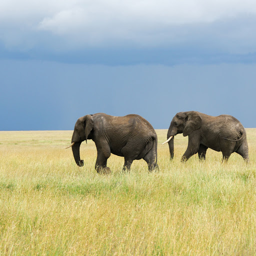 Hd-134617-ascw134617