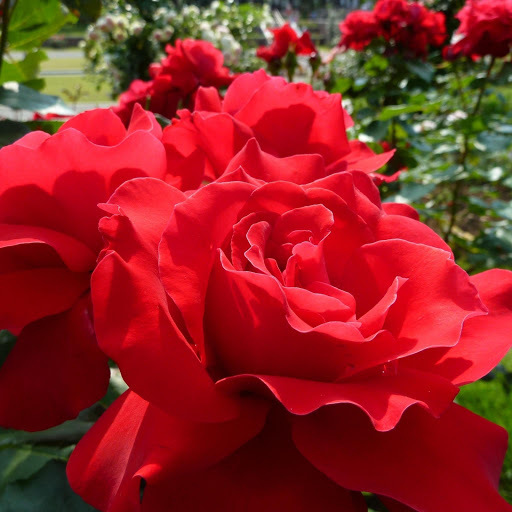 Hd-168830-ascw168830