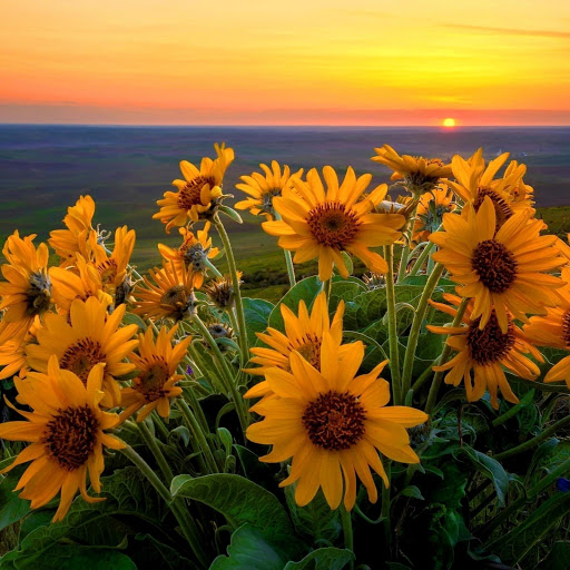 Hd-147605-ascw147605