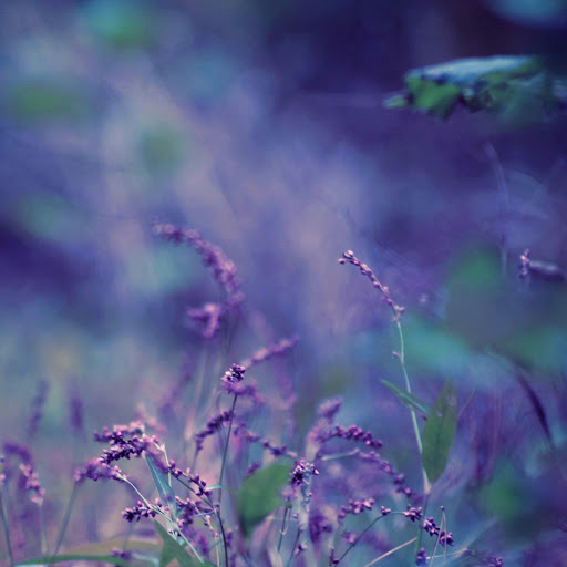 Hd-140422-ascw140422