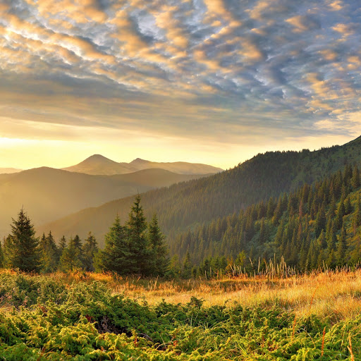 Hd-154054-ascw154054