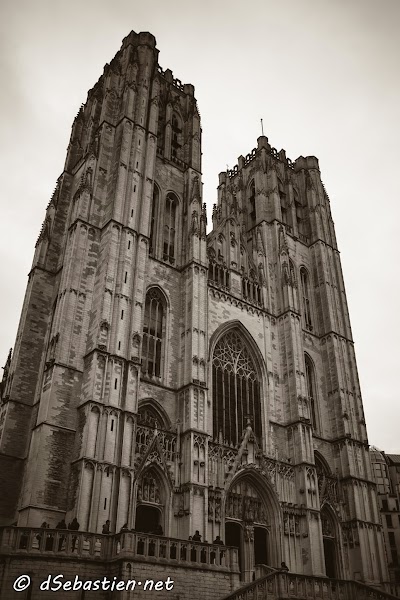 2015-02-26 - Cathedral 4.jpg 2015-02-26 - Cathedral 4.jpg