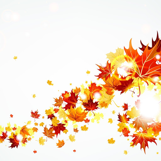 Hd-158689-ascw158689