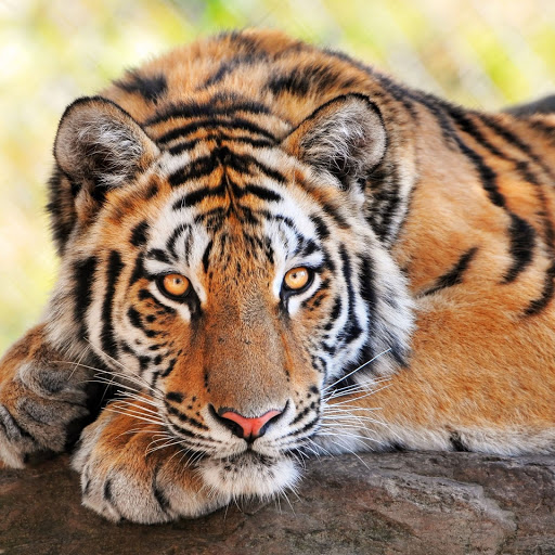 Hd-146861-ascw146861