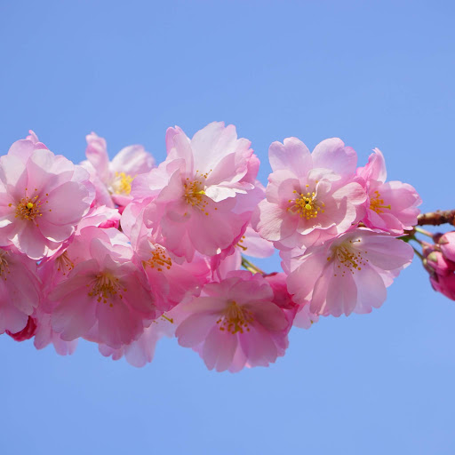 Hd-152568-ascw152568