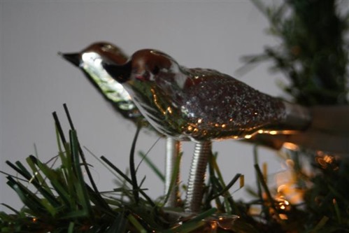 20081212 (Small) 20081212 (Small)