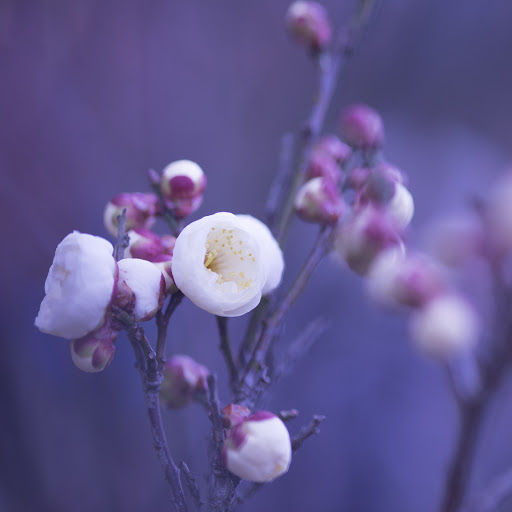 Hd-157816-ascw157816