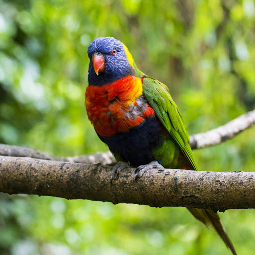 Hd-178031-ascw178031