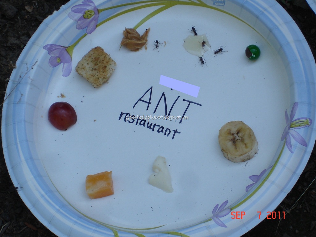 [DSC05356%255B11%255D.jpg]