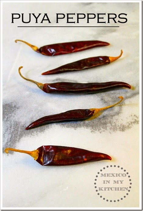 Super Spicy Salsa with Puya and Árbol Peppers | Mexican Puya Peppers