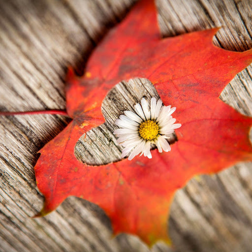 Hd-163157-ascw163157