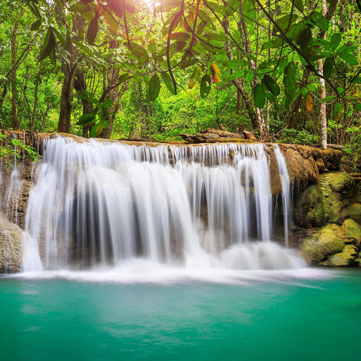 Hd-185925-ascw185925