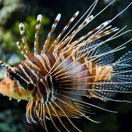 Hd-139492-ascw139492