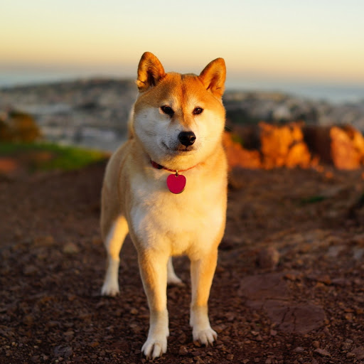 Hd-134678-ascw134678