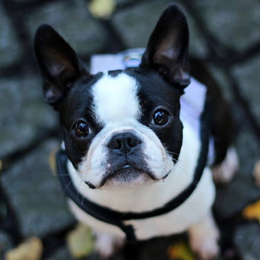 Hd-172869-ascw172869