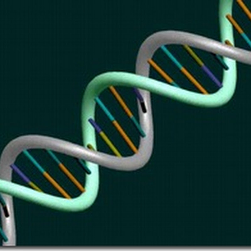 Benarkah DNA Menjadi Bukti Hubungan Nasab?