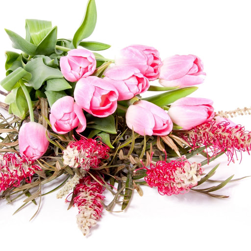 Hd-177917-ascw177917