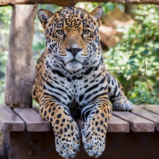 Hd-176355-ascw176355