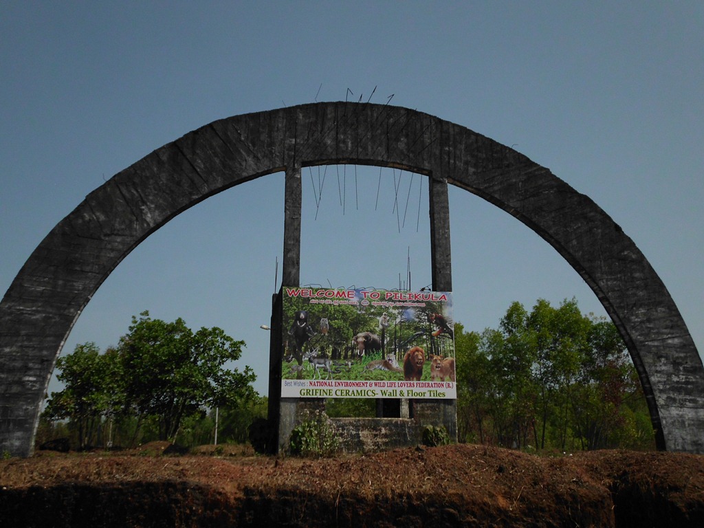 [DSCI0956%255B4%255D.jpg]