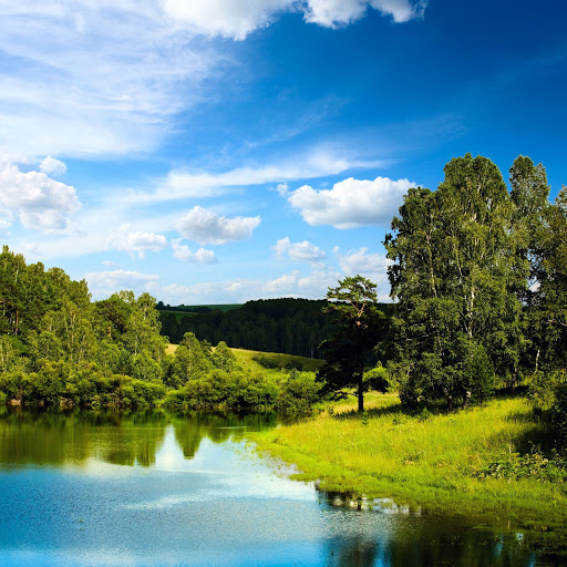 Hd-186375-ascw186375