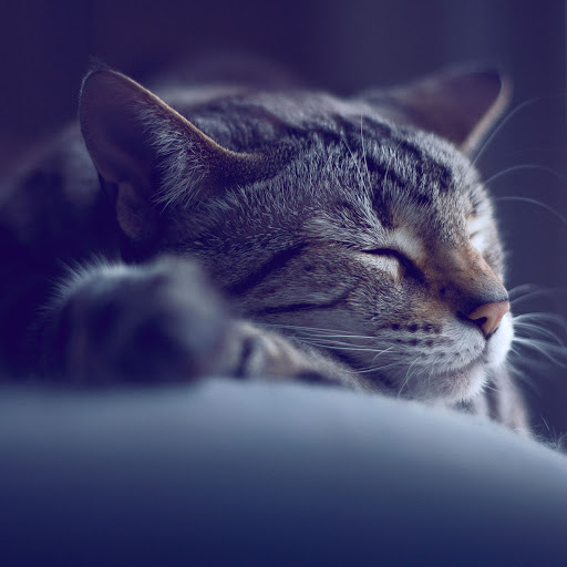 Hd-150186-ascw150186