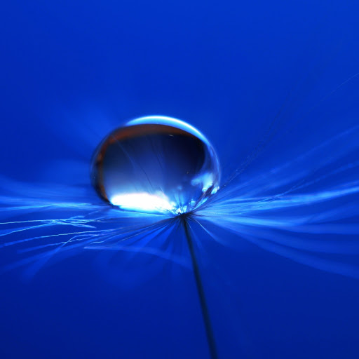 Hd-133467-ascw133467