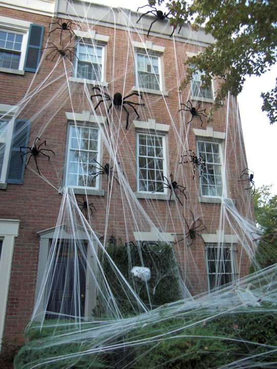 [spiders%2520apartment%2520therapy%255B4%255D.jpg]