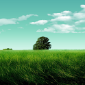 Flying Birds Free Wallpaper icon