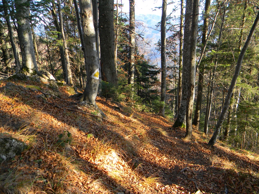 [DSCN10793.jpg]