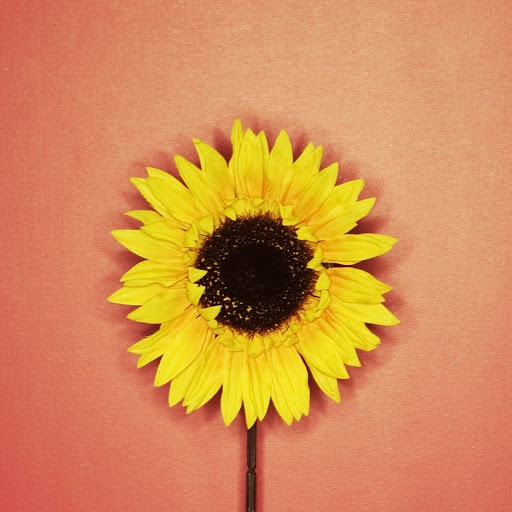 Hd-139433-ascw139433