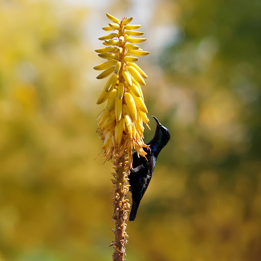 Hd-178658-ascw178658