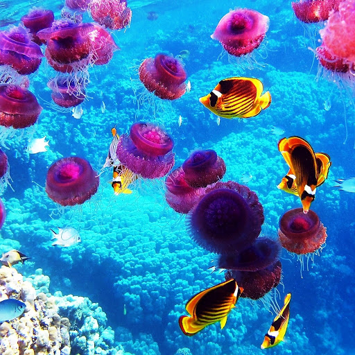 Hd-163229-ascw163229