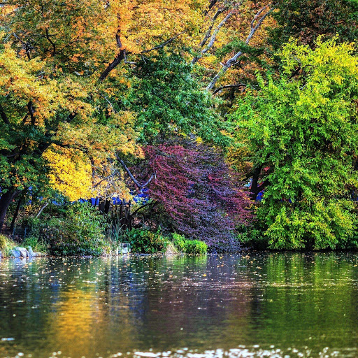 Hd-152727-ascw152727