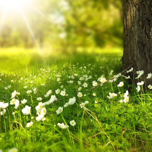 Hd-163782-ascw163782