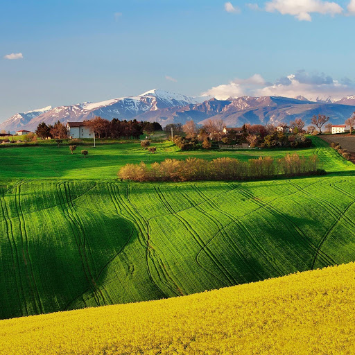 Hd-141937-ascw141937