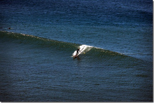 Yaquina Surfer 3