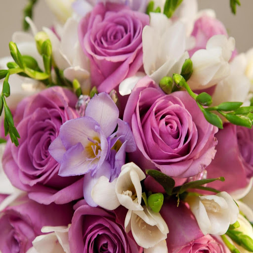 Hd-172293-ascw172293