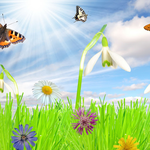 Hd-135183-ascw135183