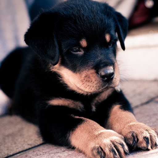 Hd-180691-ascw180691