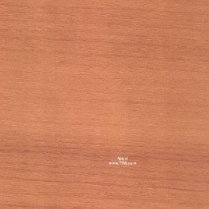 [O5792%255B5%255D.jpg]