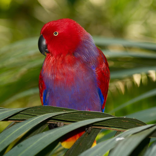 Hd-163063-ascw163063