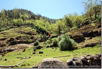 5601 Barranco de Crespo 5601 Barranco de Crespo