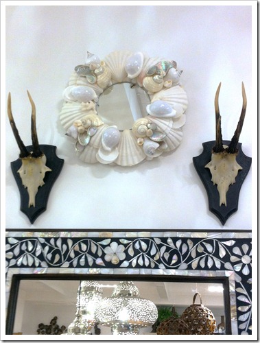 shell mirror and antlers