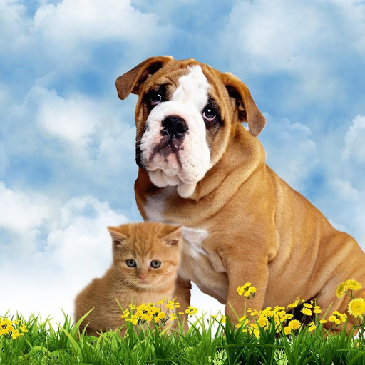 Hd-134803-ascw134803